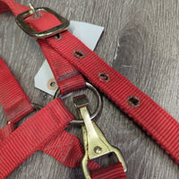 Thick Nylon Halter, Slip Nose, Spring Snap *gc, dirty, mnr rubs
