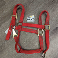 Thick Nylon Halter, Slip Nose, Spring Snap *gc, dirty, mnr rubs
