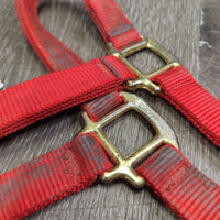 Thick Nylon Halter, Slip Nose, Spring Snap *gc, dirty, mnr rubs
