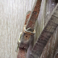 Headstall, Chin Strap *gc, rusty, clean, mnr dirt, chewed, undone stitching, loose threads
