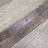Pr Stirrup Leathers *gc, clean, dents, scrapes, creases, splits, twists, bends, rubs
