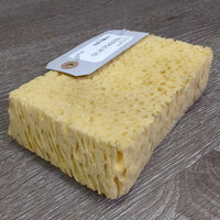 Bathing Sponge *xc, clean, mnr stains & hair
