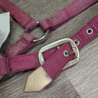 v.Thick Stiff Nylon Halter, snap *gc, rubs, stains, dirty, faded, edge rubs & frays, older
