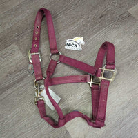 v.Thick Stiff Nylon Halter, snap *gc, rubs, stains, dirty, faded, edge rubs & frays, older
