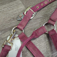 v.Thick Stiff Nylon Halter, snap *gc, rubs, stains, dirty, faded, edge rubs & frays, older
