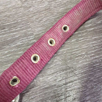 v.Thick Stiff Nylon Halter, snap *gc, rubs, stains, dirty, faded, edge rubs & frays, older
