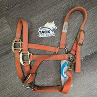 Soft Narrow Nylon Halter, adj, snap *gc, dirty, faded, rubs, frays, stains
