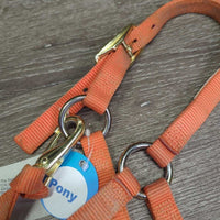 Soft Narrow Nylon Halter, adj, snap *gc, dirty, faded, rubs, frays, stains
