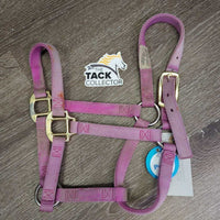 Soft Narrow Nylon Halter, adj, snap *gc/fair, dirty, v.faded, rubs, frays, stains
