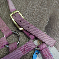 Soft Narrow Nylon Halter, adj, snap *gc/fair, dirty, v.faded, rubs, frays, stains
