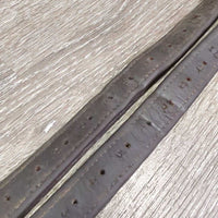 Soft Nylon Lined Stirrup Leathers *gc/vgc, dirty, residue, chewed edges, pulled threads, scrapes, dirt jockies, tacky/sticky
