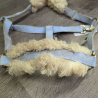 Nylon Halter, Sheepskin Lined Nose & Crown, snap *gc, v.stained, clumpy, dirt?, older, stiff fleece edges
