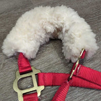 Nylon Breakaway Halter, Nose Fleece, Spring Snap, Nylon Lead Rope, Tag *xc/like new, cut tag, mnr stains
