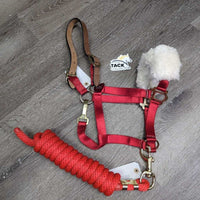 Nylon Breakaway Halter, Nose Fleece, Spring Snap, Nylon Lead Rope, Tag *xc/like new, cut tag, mnr stains
