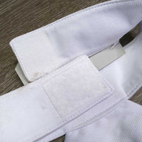 Stock Tie, Bling, Brooch, velcro collar *vgc, mnr stains
