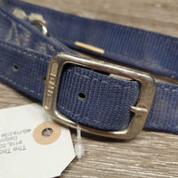 Thick Nylon Strap *gc, mnr dirt, stiff, residue, twist
