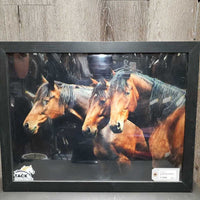 Bay Horses Picture, Wood Frame *gc, dusty, scratches

