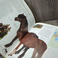 The Encyclopedia of the Horse by Elwyn Hartley Edwards *gc, torn & taped cover

