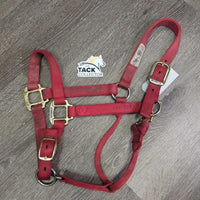 Thick Soft Nylon Halter, adj, snap *gc, v.dirty, stains, faded, marker

