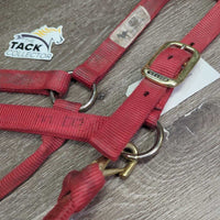 Thick Soft Nylon Halter, adj, snap *gc, v.dirty, stains, faded, marker

