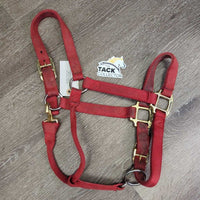 Thick Soft Nylon Halter, adj, snap *gc, v.dirty, stains, faded, marker
