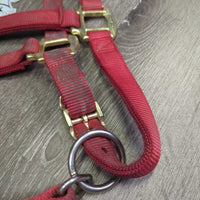 Thick Soft Nylon Halter, adj, snap *gc, v.dirty, stains, faded, marker
