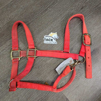 Thick Soft Nylon Halter, adj, snap *gc, v.dirty, stains, faded, frays, rubs
