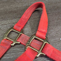 Thick Soft Nylon Halter, adj, snap *gc, v.dirty, stains, faded, frays, rubs

