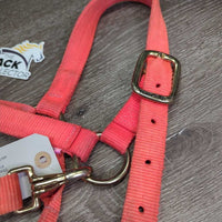 Thick Soft Nylon Halter, adj, snap *gc, v.dirty, stains, faded, frays, rubs
