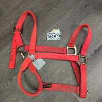 Thick Soft Nylon Halter, adj, snap *gc, v.dirty, stains, faded, frays, rubs
