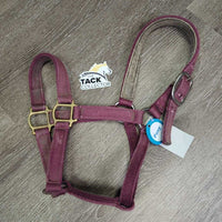 Thick Nylon Hallter, Suede Padded Halter *gc, dirty, rubbed, stains, snags, frayed holes, faded
