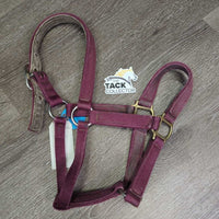 Thick Nylon Hallter, Suede Padded Halter *gc, dirty, rubbed, stains, snags, frayed holes, faded
