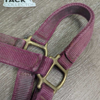 Thick Nylon Hallter, Suede Padded Halter *gc, dirty, rubbed, stains, snags, frayed holes, faded
