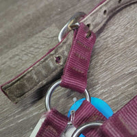 Thick Nylon Hallter, Suede Padded Halter *gc, dirty, rubbed, stains, snags, frayed holes, faded
