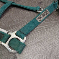 Padded Neoprene & Nylon Halter, snap *gc, dirt, chipped/holey edges, stains, older, faded
