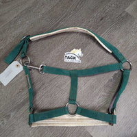 Padded Neoprene & Nylon Halter, snap *gc, dirt, chipped/holey edges, stains, older, faded
