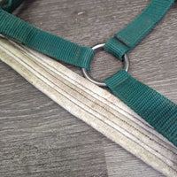 Padded Neoprene & Nylon Halter, snap *gc, dirt, chipped/holey edges, stains, older, faded
