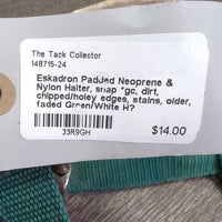Padded Neoprene & Nylon Halter, snap *gc, dirt, chipped/holey edges, stains, older, faded
