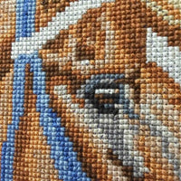 Cross Stitch "Secretariat" by C.Klavand '89, Matted, Framed *vgc, mnr chips, hair & dirt

