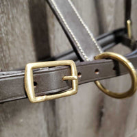 Rsd/FS Padded Leather Halter, tag *new
