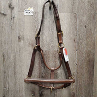Rsd/FS Padded Leather Halter, adj, snap, tag *new

