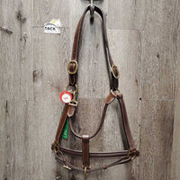 Rsd/FS Padded Leather Halter, adj, snap, tag *new
