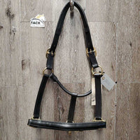 Rsd Padded Leather Halter, adj, snap, tag *new
