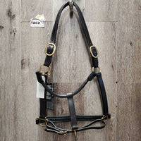 Rsd Padded Leather Halter, adj, snap, tag *new
