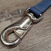 1 Nylon Web Trailer Tie *vgc, clean, mnr rusty & dusty
