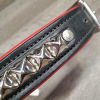 Hvy Padded Dog Collar, tag *new, older
