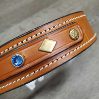 Hvy Wide Padded Dog Collar *new, older
