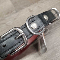 Wide Padded Dog Collar, double buckles *new, older
