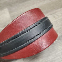 Wide Padded Dog Collar, double buckles *new, older
