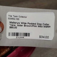 Wide Padded Dog Collar *new, older
